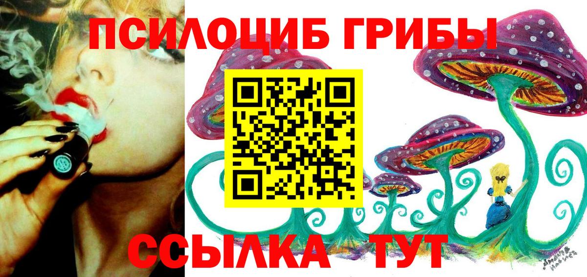Галлюциногенные грибы прущие грибы Тула
