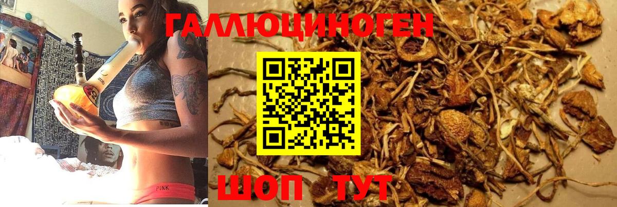 Галлюциногенные грибы MAGIC MUSHROOMS  Псилоцибиновые грибы Psilocybe  Вход с VPN  Тула 